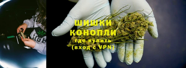 молекула духа Осинники