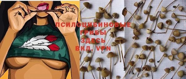 каннабис Пестово