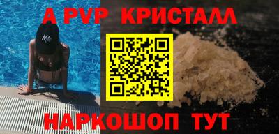 спиды Донской