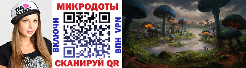 МЕГА как зайти  Рославль  Псилоцибиновые грибы мицелий 